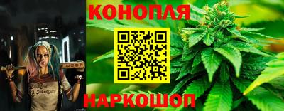 винт Дубна